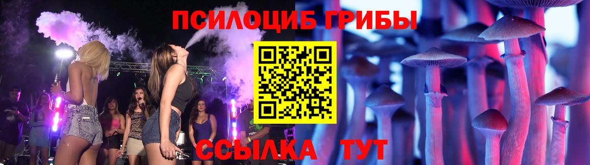 Псилоцибиновые грибы Psilocybine cubensis  Вход с VPN  Гусев  Псилоцибиновые грибы Psilocybe 